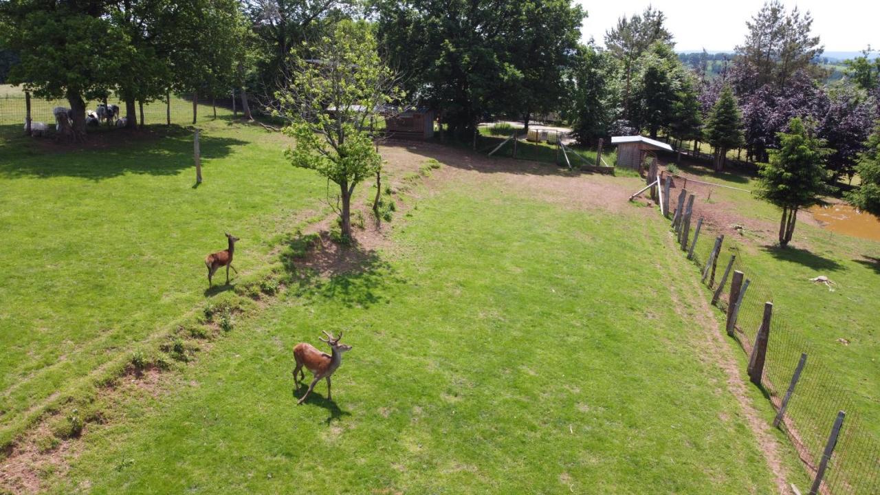 Brochepierre 28 Pers- Vue Exceptionnelle - Malmedy Villa Exterior photo